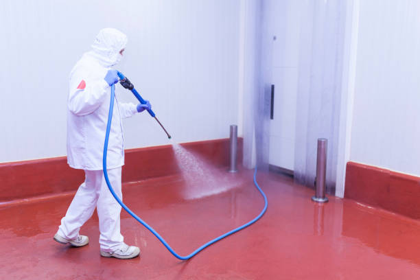 Best Rust and Stain Removal in Briarcliff, TX